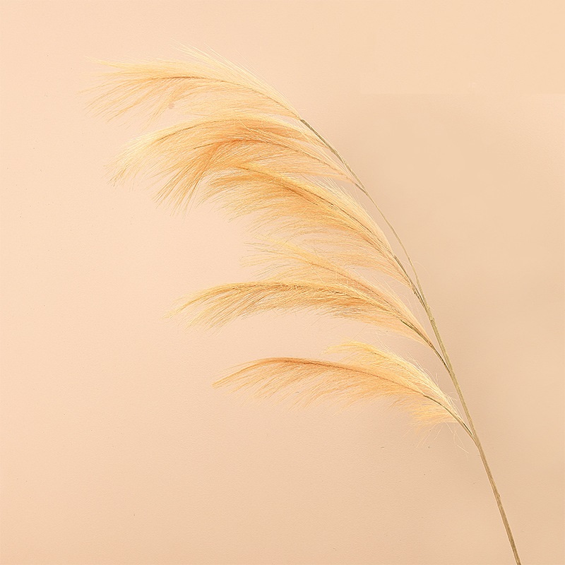 CL002013-Manufacturers wedding feather reed Pampas grass INS simulation flower home decoration wholesale fake flowers