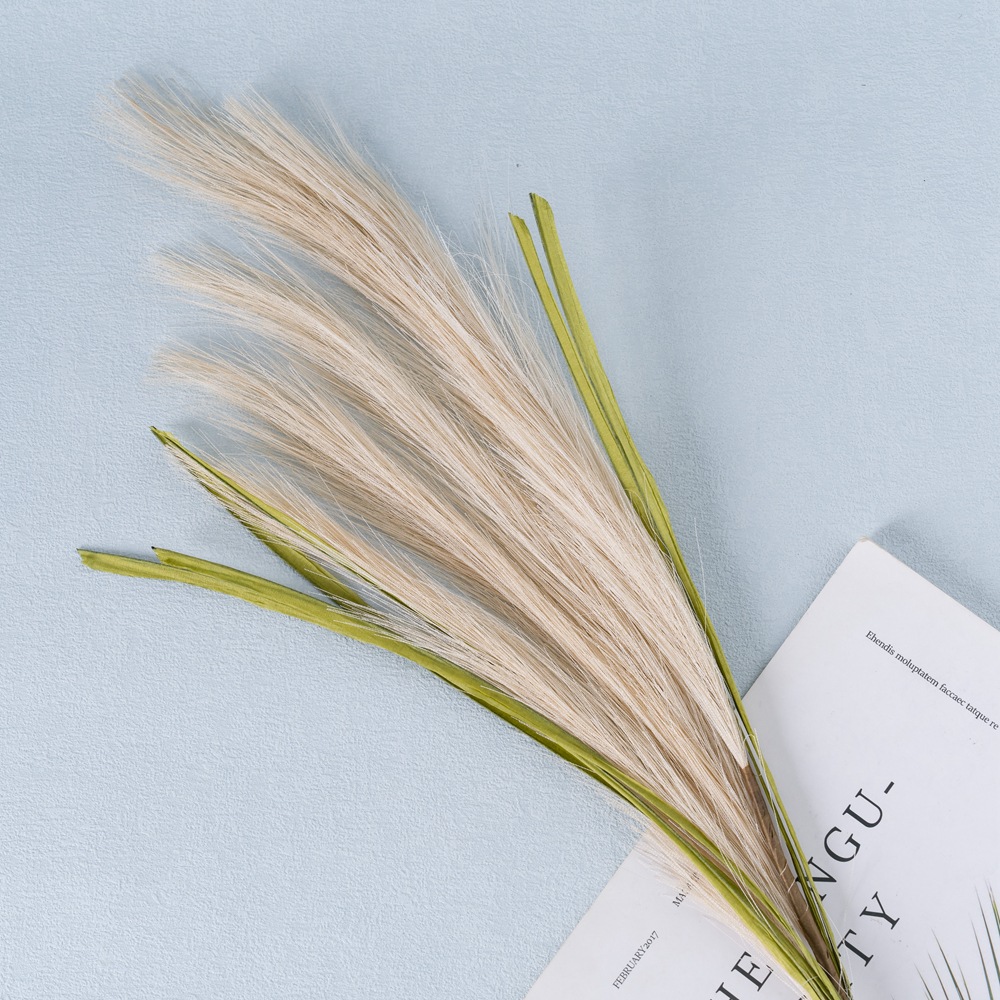 CL002014-Reed Pampas INS simulation flower Hand-held flower unplumbed Pampas reed grass simulation flower manufacturers home decoration rose wall fake flowers
