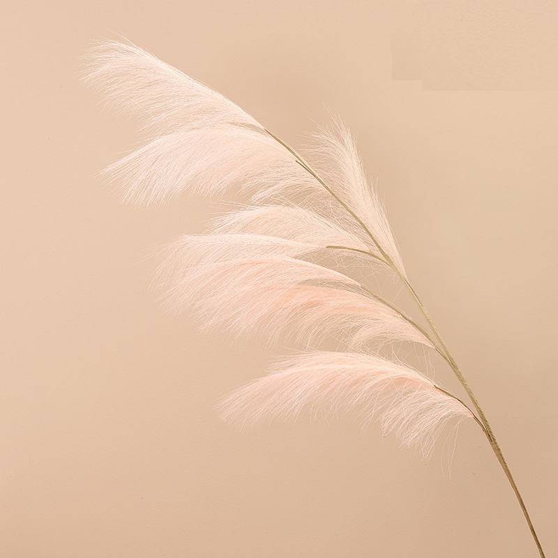 CL002013-Manufacturers wedding feather reed Pampas grass INS simulation flower home decoration wholesale fake flowers