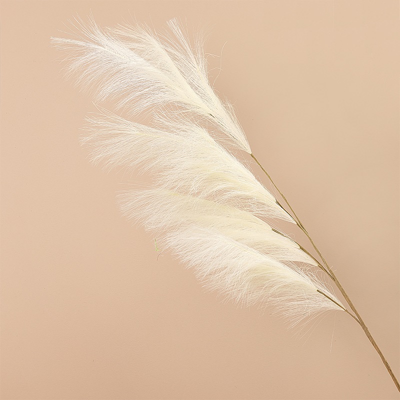 CL002013-Manufacturers wedding feather reed Pampas grass INS simulation flower home decoration wholesale fake flowers