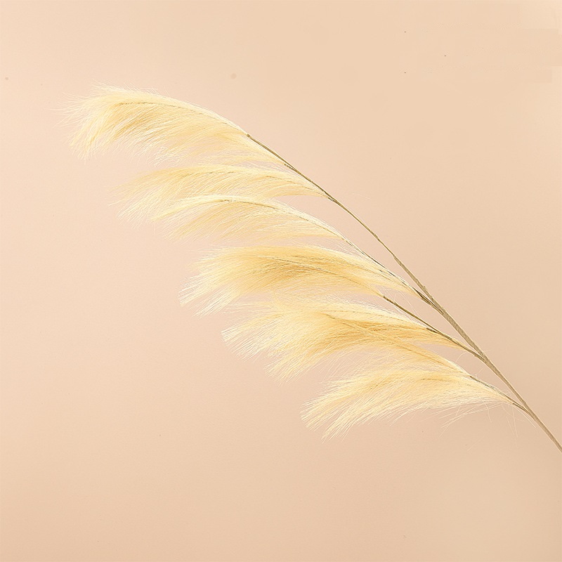 CL002013-Manufacturers wedding feather reed Pampas grass INS simulation flower home decoration wholesale fake flowers