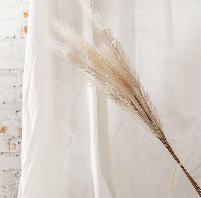 CL002019-Manufacturers feather grass wedding feather reed Pampas grass INS simulation flower home decoration wholesale fake flowers