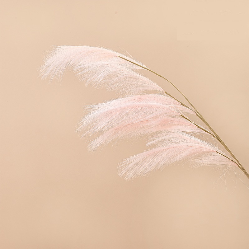 CL002013-Manufacturers wedding feather reed Pampas grass INS simulation flower home decoration wholesale fake flowers