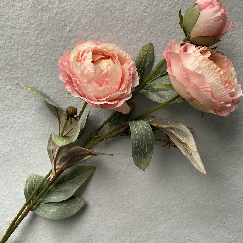 CL001036-Simulation of 3 oil painting round peony wedding layout leading flowers wedding studio living room hotel layout decorative flowers