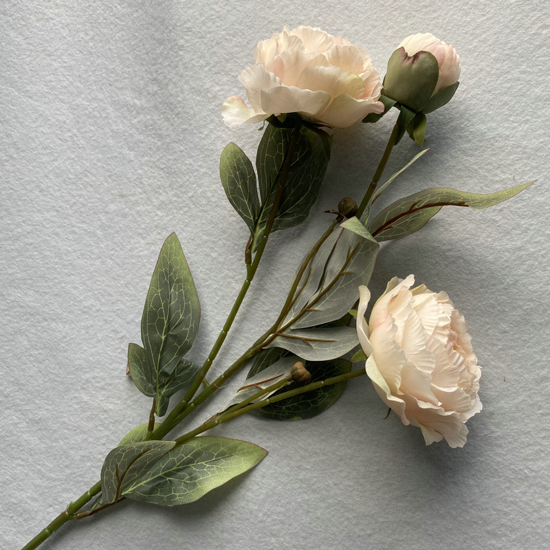 CL001036-Simulation of 3 oil painting round peony wedding layout leading flowers wedding studio living room hotel layout decorative flowers