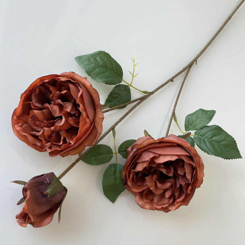 CL001055-artificial flower artificial rose 3 head Austin Rose Coated silk screen simulation rose home table bedroom fake flower decoration decoration wedding wedding set flowers