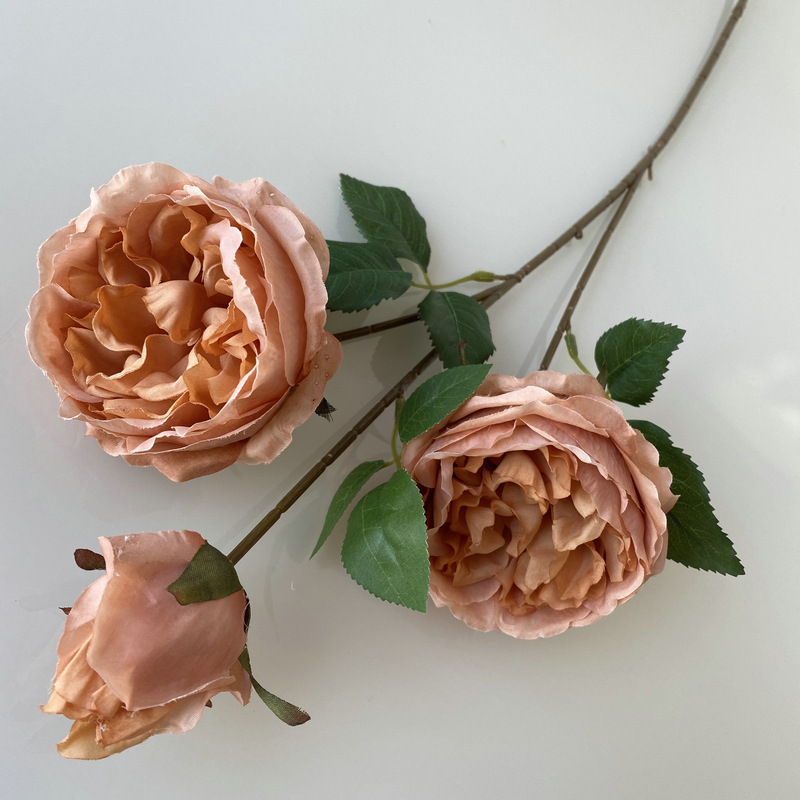 CL001055-artificial flower artificial rose 3 head Austin Rose Coated silk screen simulation rose home table bedroom fake flower decoration decoration wedding wedding set flowers